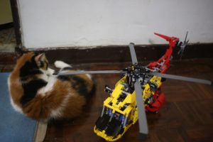IMG_0148