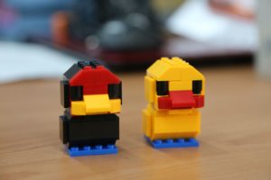 IMG_3455