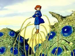 images (1)